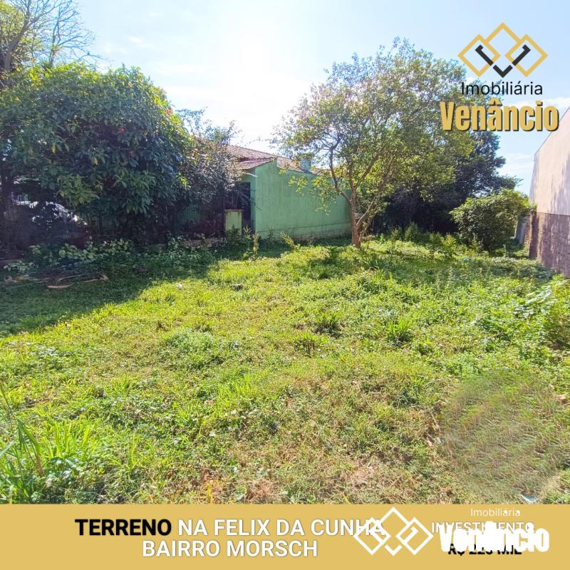 Imagem Destaque 1